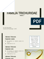 PARASITOLOGÍA - FAMILIA TrichuriDAE Parte 7