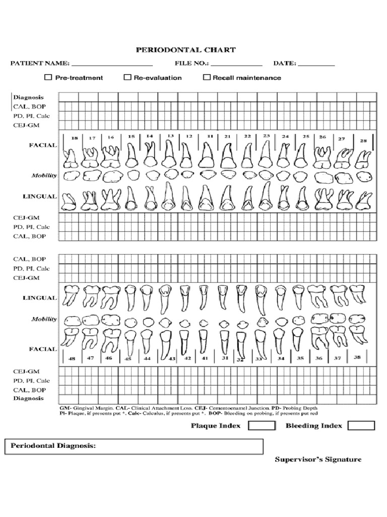 Periochart | PDF