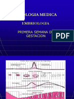 Primera Semana de Gestacion 2021