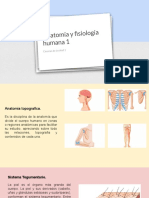 Anatomia y Fisiologia 1