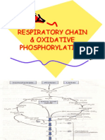 3.oxidative Phosphorylation