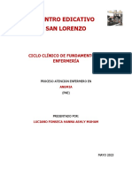 Centro Edicativo San Lorenzo: Ciclo Clínico de Fundamentos de Enfermería