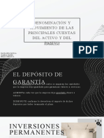 Denominación y Movimiento de Las Principales Cuentas Del Activo y Del Pasivo