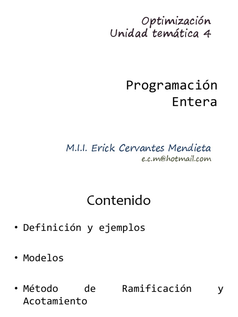 4 Programación Entera Pdf
