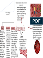 Organizador Sobre La Anemia