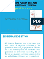 Patología Digestiva II 2022