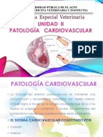 PATOLOGÍA CARDIOVASCULAR-1