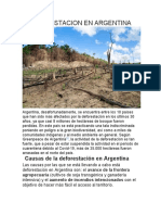 Deforestacion en Argentina