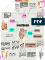 Mapa Mental Prolactinoma