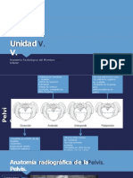 Unidad V. - Anatomía Radiológica Del Miembro Inferior