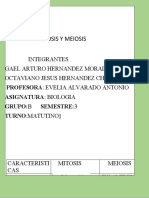 MITOSIS Y MEIOSIS T