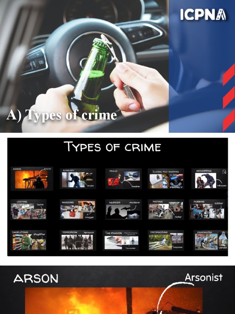 5 Types Of Crime Sociology