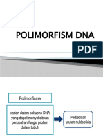 Polimorfism Dna