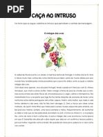 Caça Ao Intruso Coerência 7