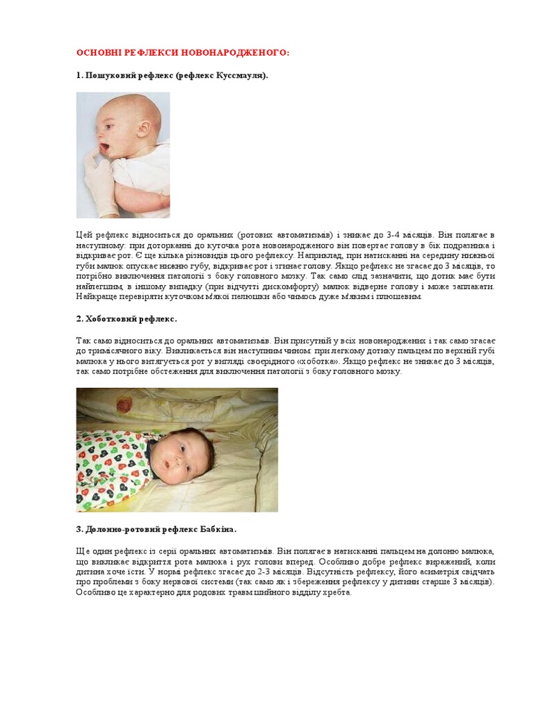 рефлекси | PDF