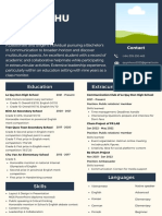 Professional CV Resume