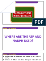 Biology - XI - Photosynthesis in Higher Plants - Uses of Atp and Narp