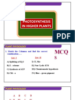 Biology - XI - Photosynthesis in Higher Plants - MCQs 5