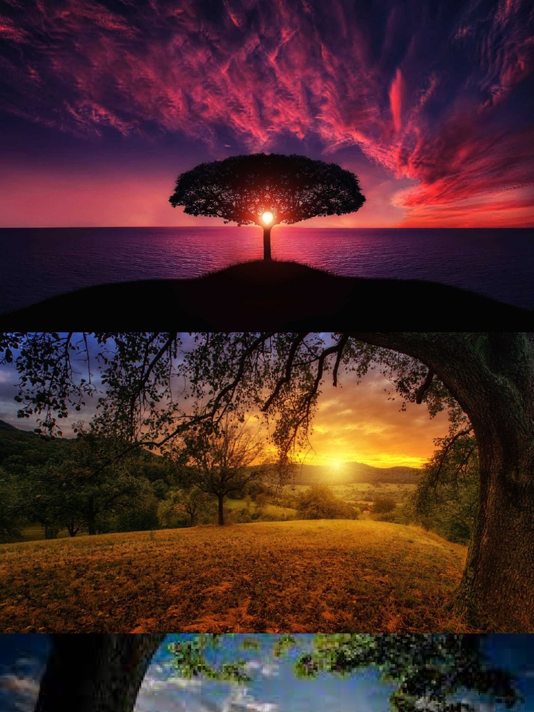 Pdf24 images merged pdf