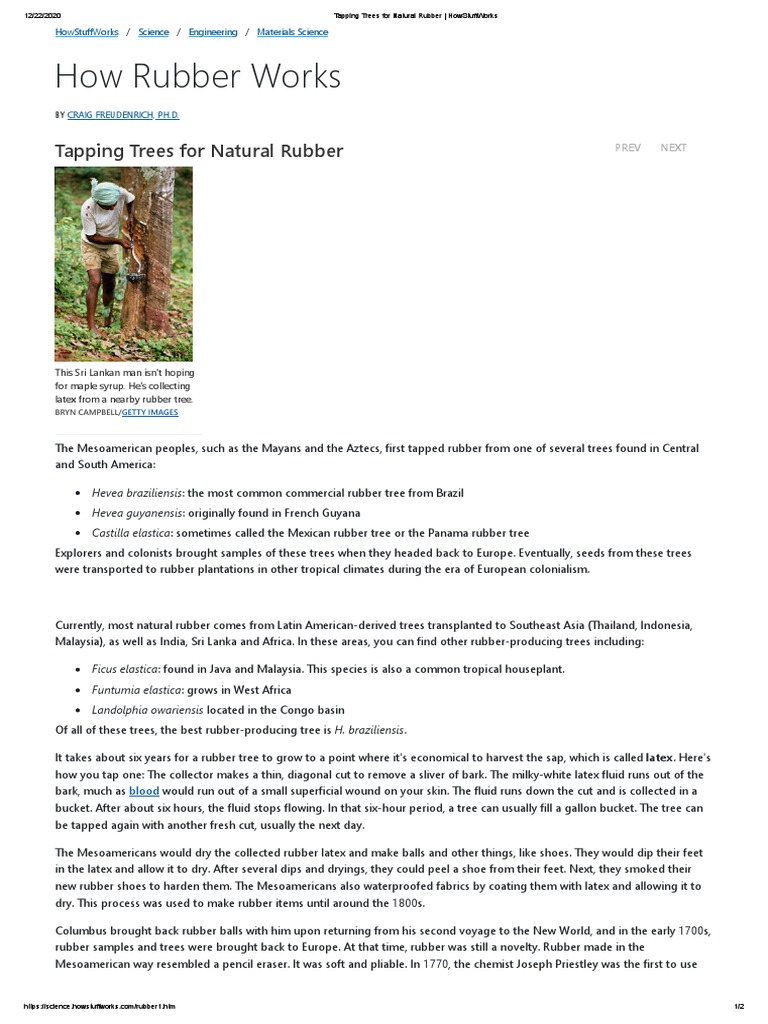 Tapping Trees For Natural Rubber - HowStuffWorks | PDF