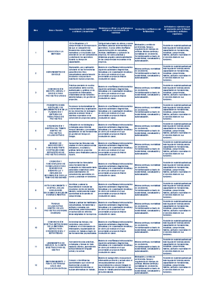 Plan de Capacitación de Jcf 2021 13 Ene21 - Plan Bajo Formato | PDF