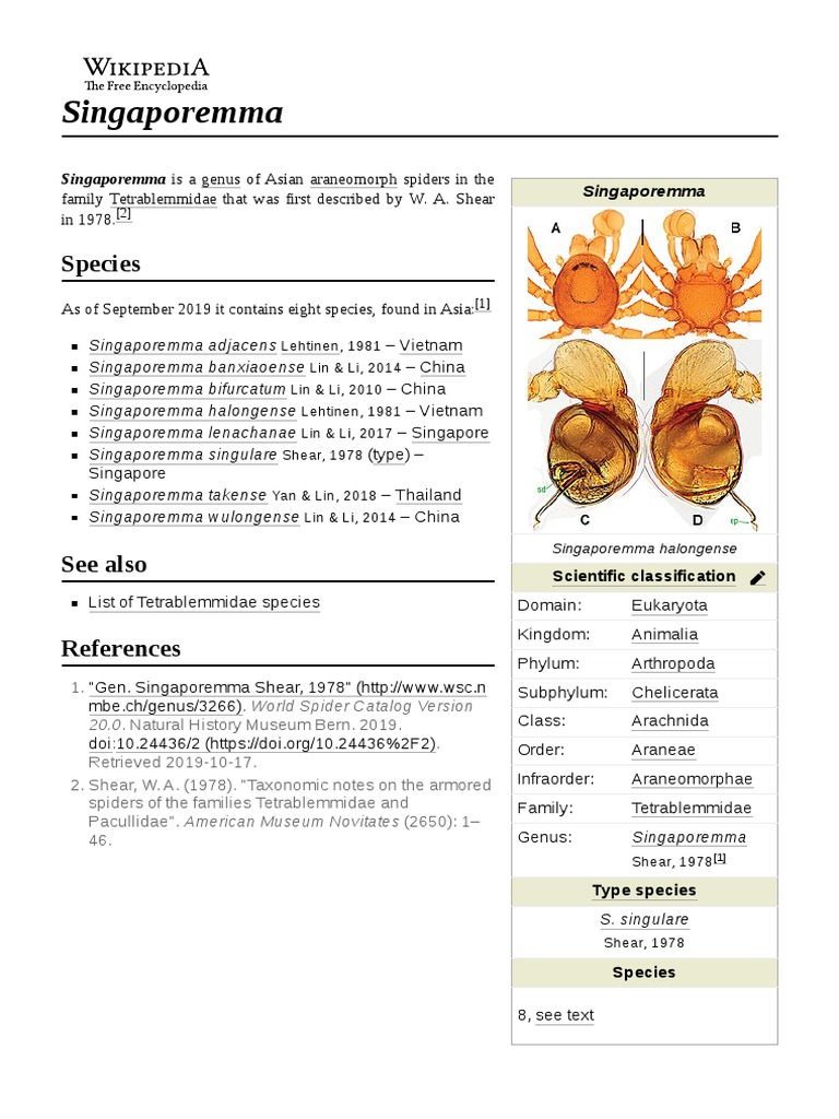 Singaporemma PDF Taxonomy (Biology) Scientific Classification