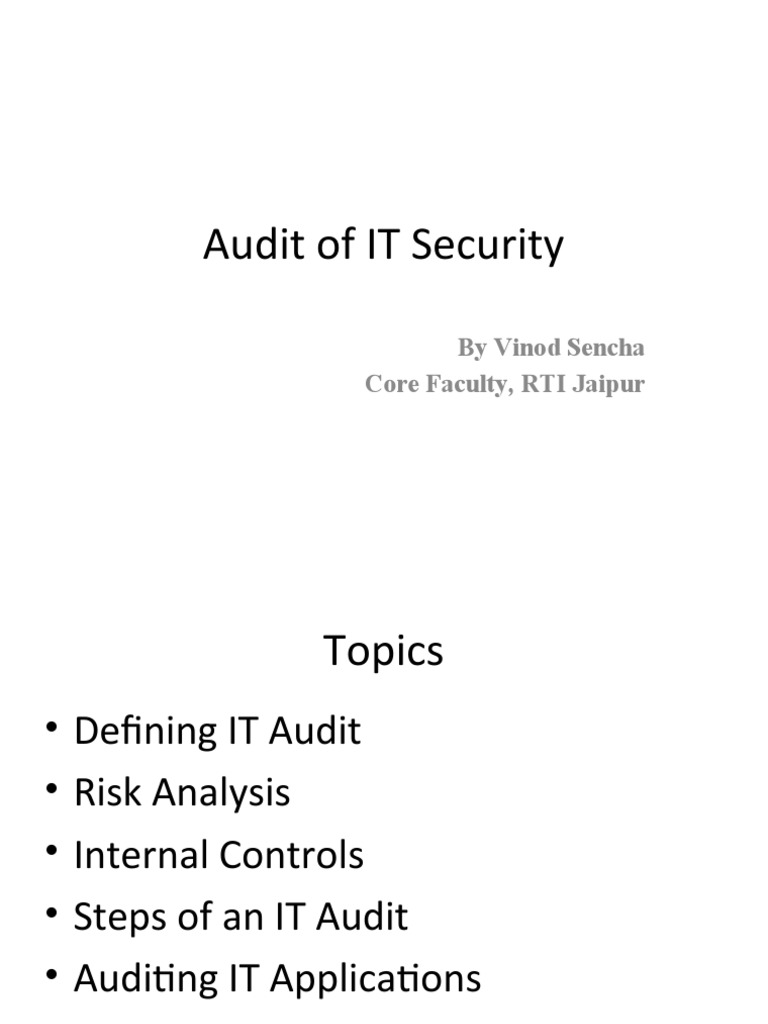 IT Security Audit Overview and Guidelines | PDF | Internal Control | Risk