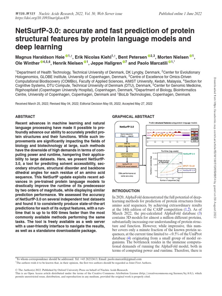 NetSurfP-3.0 Accurate and Fast Prediction of Protein | PDF