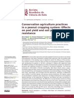 Conservation Agriculture Practices in A Peanut Cropping System - Effects On Pod Yield and Soil Penetration Resistance.