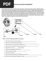 Protein Synthesis Worksheet PART A. Read The Following | PDF | Translation  (Biology) | Biosynthesis