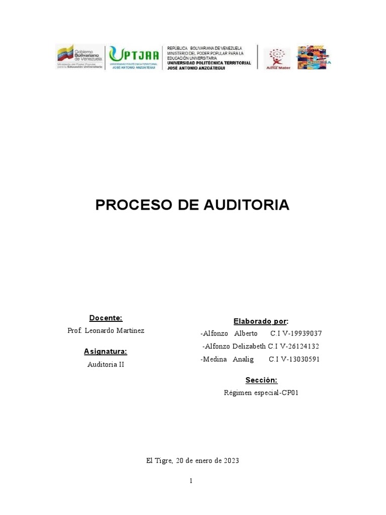 Proceso de Auditoría: Guía Completa | PDF | Auditoría | Contabilidad