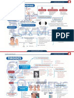 Endocrinología MapasMentales