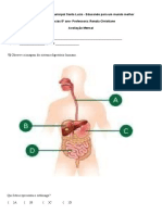 Avaliação Ciencias 5 Ano - Word para Formatacao Final