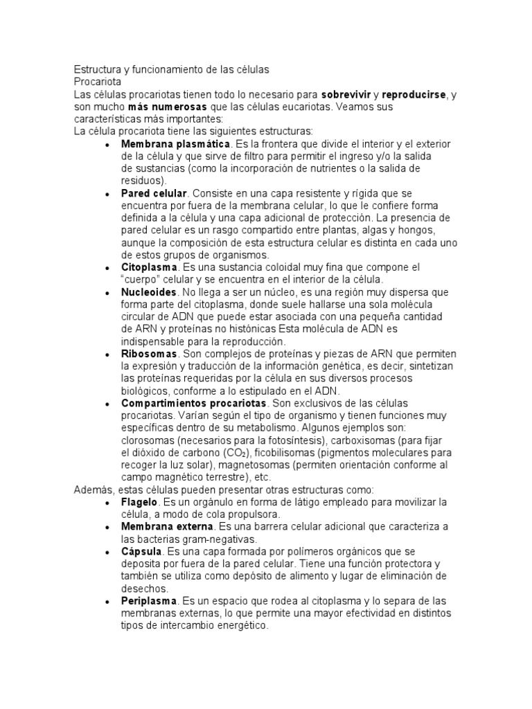 Estructura de células eucariotas y procariotas | PDF | Mitosis | Mitosis