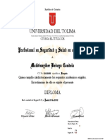 Diploma de La Universidad Del Tolima Bogota D.C