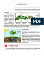 Guia de Reforzamiento de Ciencias Naturales Tarea - PDF Copia Actualizada