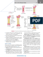 Netters-Clinic-Anatomy 4