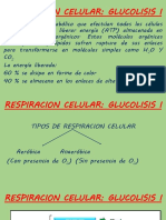 Respiracion Celular - Glicolisis I
