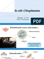 Cap 08 - Citoplasma - 9º Ano