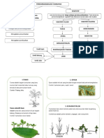 Perkembangbiakan Tumbuhan