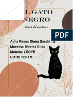 El Gato Negro65