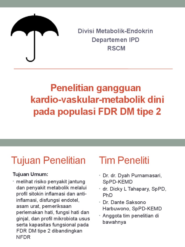 Progress Penelitian FDR-revDP | PDF