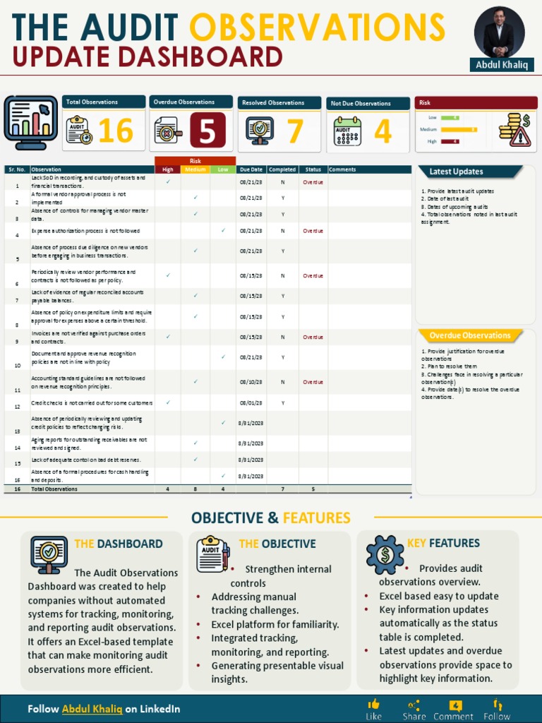 Audit Observations Dashboard Overview | PDF