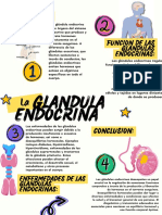 Glándula Endocrina
