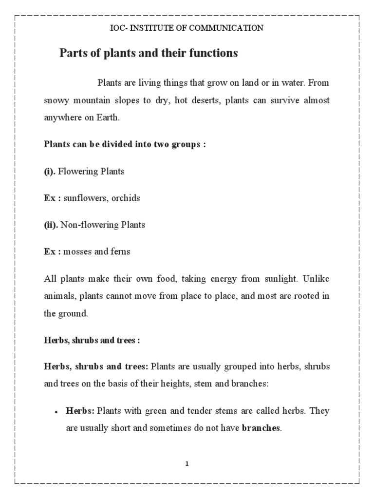 Parts of Plants and Their Functions PDF