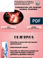 Embriologia Apto Genital PDF