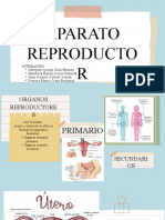 Aparato Reproductor Embrio