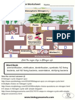 dokumen.tips_the-nitrogen-cycle-worksheet