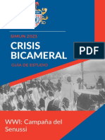 Crisis Bicameral