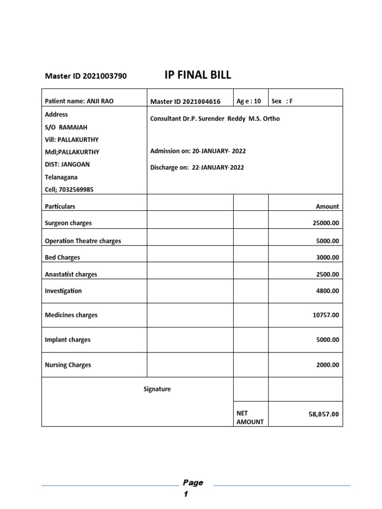 Ip Finall Bill | PDF